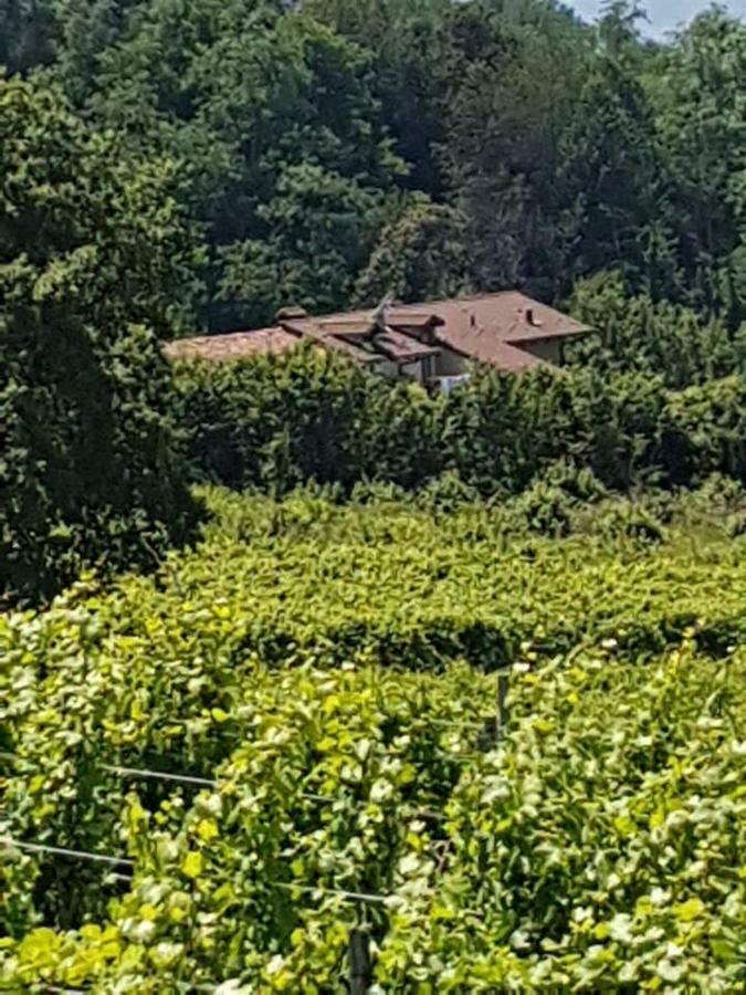 La Casa Di Roby-1 Appartamento La Morra Con Piscina Exteriér fotografie